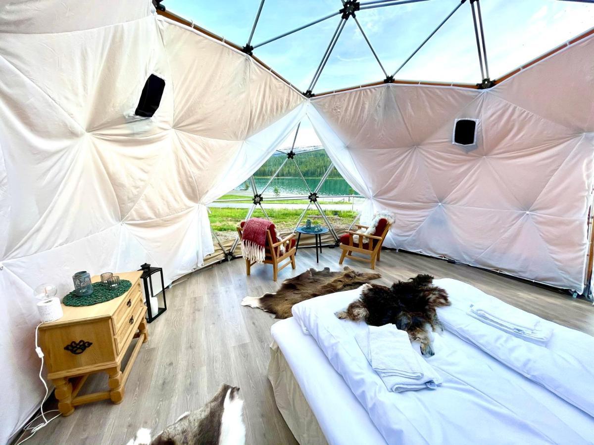 Reinheimen Lodge Skjak Ngoại thất bức ảnh