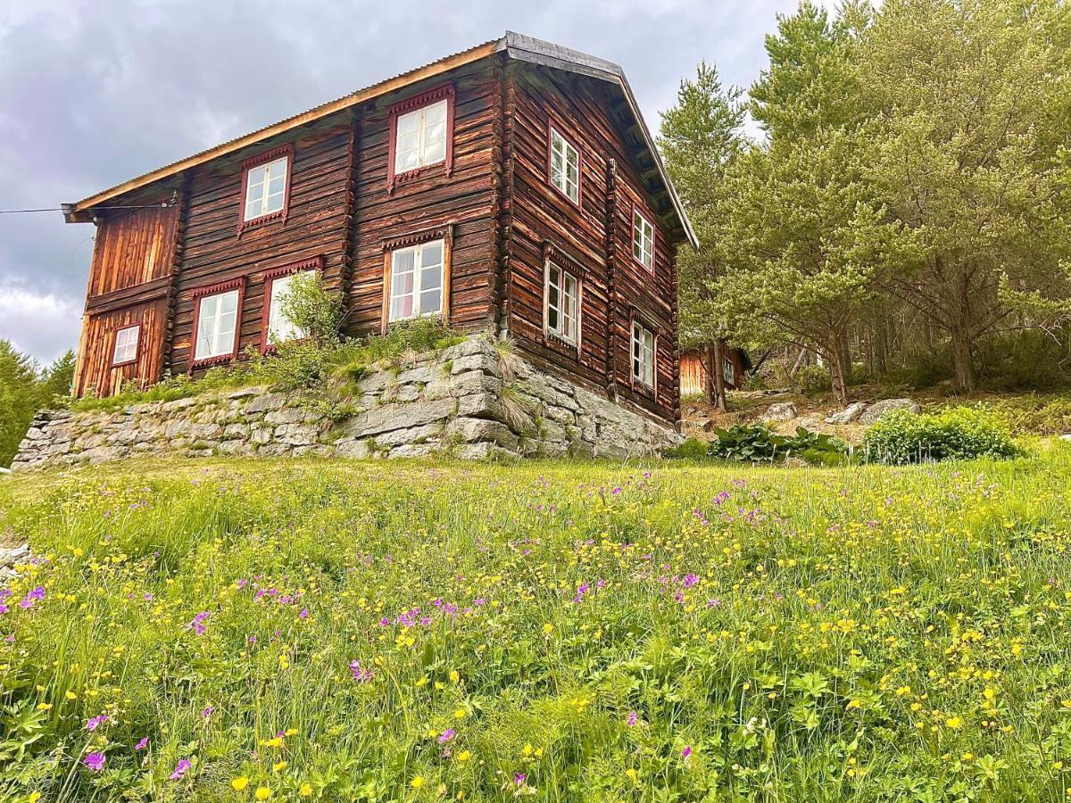 Reinheimen Lodge Skjak Ngoại thất bức ảnh
